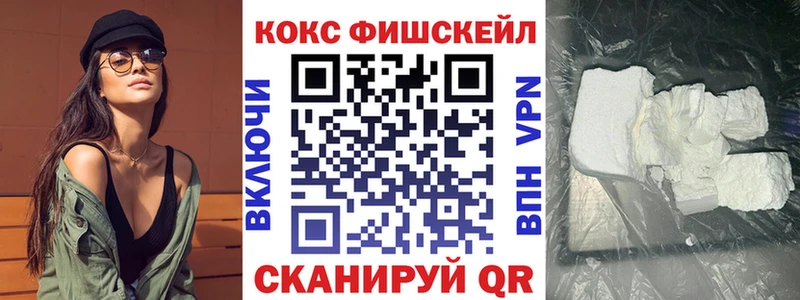 где купить   Цивильск  COCAIN VHQ 
