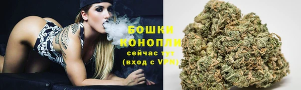 прущие грибы Новокубанск