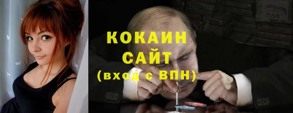 прущие грибы Новокубанск