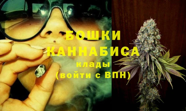 амф Новозыбков