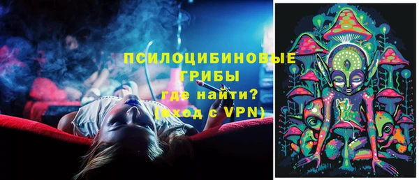 ALPHA-PVP Гусев