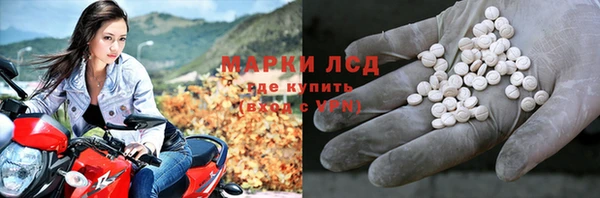 амф Новозыбков