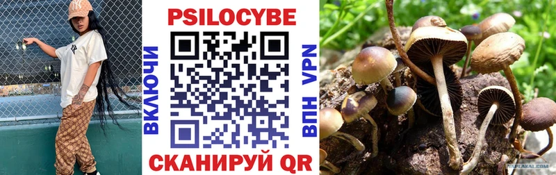 Псилоцибиновые грибы Psilocybe  Цивильск 